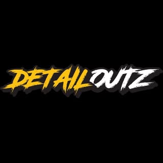 Detailout logo
